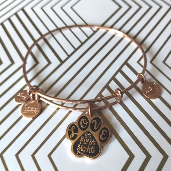 Alex and Ani Love at First Sight Pet Lover Bangle Charm Bracelet - Picture 7 of 8